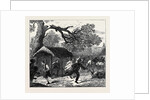 The Ashantee War: Fall of a Tree in Camp 1874 by Anonymous