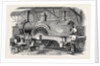New Express Engine for the London and North-Western Railway, 1852 by Anonymous