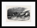 Ireland's Eye, Dublin Bay by Anonymous