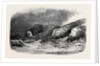 Ireland's Eye, Dublin Bay by Anonymous