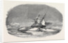 Perilor's Position of the Isabel in the Ice, Off Talbot Inlet; the Search for Sir John Franklin by Anonymous