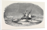 Perilor's Position of the Isabel in the Ice, Off Talbot Inlet; the Search for Sir John Franklin by Anonymous
