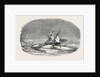 Perilor's Position of the Isabel in the Ice, Off Talbot Inlet; the Search for Sir John Franklin by Anonymous