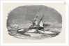 Perilor's Position of the Isabel in the Ice, Off Talbot Inlet; the Search for Sir John Franklin by Anonymous