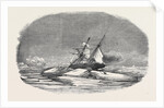 Perilor's Position of the Isabel in the Ice, Off Talbot Inlet; the Search for Sir John Franklin by Anonymous