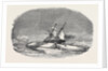 Perilor's Position of the Isabel in the Ice, Off Talbot Inlet; the Search for Sir John Franklin by Anonymous