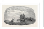 The Isabel Entering the Polar Basin Through Smith's Sound, in the Head of Baffin's Bay; the Search for Sir John Franklin by Anonymous