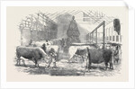 The Smithfield Club Cattle Show-Yard by Anonymous