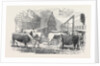 The Smithfield Club Cattle Show-Yard by Anonymous
