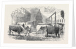 The Smithfield Club Cattle Show-Yard by Anonymous