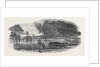 Flood at Gloucester, 1852 by Anonymous