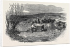Taking the Gloucester and Aberysthwyth Mail-Coach Out of the River Frome by Anonymous