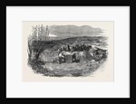 Taking the Gloucester and Aberysthwyth Mail-Coach Out of the River Frome by Anonymous