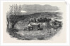 Taking the Gloucester and Aberysthwyth Mail-Coach Out of the River Frome by Anonymous