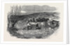 Taking the Gloucester and Aberysthwyth Mail-Coach Out of the River Frome by Anonymous