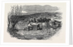 Taking the Gloucester and Aberysthwyth Mail-Coach Out of the River Frome by Anonymous