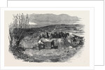 Taking the Gloucester and Aberysthwyth Mail-Coach Out of the River Frome by Anonymous