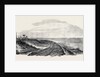 Railway Works, and Temporary Rails, Near Alexandria by Anonymous