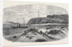 Entrance of the First Mail Steamer Into the Bay of Natal, 1852 by Anonymous