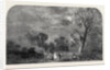 The Old Crystal Palace in Hyde Park: Site of the Transept, North-East, 1852 by Anonymous