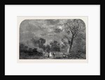 The Old Crystal Palace in Hyde Park: Site of the Transept, North-East, 1852 by Anonymous
