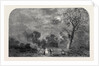 The Old Crystal Palace in Hyde Park: Site of the Transept, North-East, 1852 by Anonymous