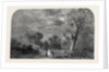 The Old Crystal Palace in Hyde Park: Site of the Transept, North-East, 1852 by Anonymous