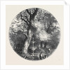 The Old Crystal Palace in Hyde Park: Fountain in the North Transept, 1852 by Anonymous
