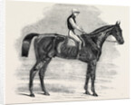Weathergage, Winner of the Cesarewitch Stakes, at Newmarket, 1852 by Anonymous