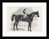 Weathergage, Winner of the Cesarewitch Stakes, at Newmarket, 1852 by Anonymous