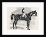 Weathergage, Winner of the Cesarewitch Stakes, at Newmarket, 1852 by Anonymous