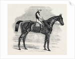 Weathergage, Winner of the Cesarewitch Stakes, at Newmarket, 1852 by Anonymous