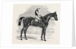 Weathergage, Winner of the Cesarewitch Stakes, at Newmarket, 1852 by Anonymous