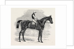 Weathergage, Winner of the Cesarewitch Stakes, at Newmarket, 1852 by Anonymous