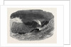 Extreme Peril of the Castor's Launch, Sent to Survey the Birkenhead Rock, 1852 by Anonymous