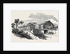 The Oxford and Birmingham Railway: The Leamington Station, 1852 by Anonymous