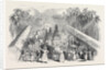 Festival of the Perahera, in Ceylon by Anonymous