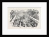 Festival of the Perahera, in Ceylon by Anonymous