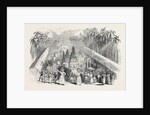 Festival of the Perahera, in Ceylon by Anonymous