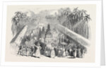 Festival of the Perahera, in Ceylon by Anonymous