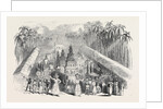 Festival of the Perahera, in Ceylon by Anonymous