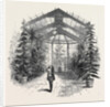 The Conservatory at Stratfieldsay by Anonymous