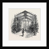 The Conservatory at Stratfieldsay by Anonymous