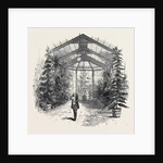 The Conservatory at Stratfieldsay by Anonymous