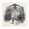 The Conservatory at Stratfieldsay by Anonymous