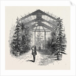 The Conservatory at Stratfieldsay by Anonymous