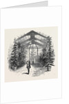 The Conservatory at Stratfieldsay by Anonymous