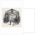 The Conservatory at Stratfieldsay by Anonymous