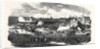 Show of the Manchester and Liverpool Agricultural Society, in the Haymarket, Great Homer Street, Liverpool, 1852 by Anonymous
