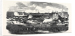 Show of the Manchester and Liverpool Agricultural Society, in the Haymarket, Great Homer Street, Liverpool, 1852 by Anonymous